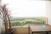 A beautiful apartment for rent in Ciputra International Hanoi City